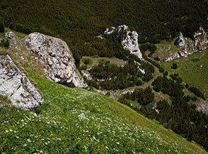 Prati e pini mugo lungo il Sentiero dei Pastori Nord.