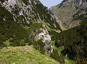 Sopra in grande sperone di roccia che s&rsquo;incontra nella parte alta del Fosso la Valle.
