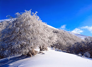 Sul grazioso colletto panoramico ad Ovest del cono sommitale del Tilia.