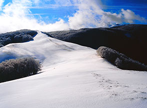 La Cresta Sud del Tilia cala sull&rsquo;ampio valico della Prima Fossa.