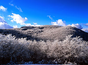 La cima imbiancata del Monte Corvo si scopre sopra il manto boscoso.