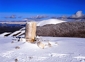 Uno dei cippi confinari (chiamati anche colonnette o termini) che s&rsquo;incontrano lungo la cresta di Collelungo.