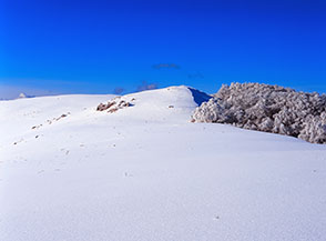 Il mammellone di Collelungo si erge di pochi metri lungo la cresta sommitale.