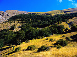 Sui primi prati della Val di Bove scorcio alle pendici della Croce di Monte Bove.