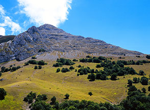 Il versante settentrionale di Monte Bicco in Val di Bove.