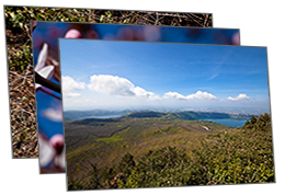 Agro Romano e Colli Albani