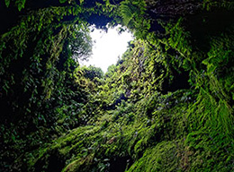 Algar do Carvão e Praia da Vitória