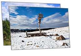 Alpi Centro-Orientali