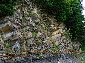 Colorata stratificazione rocciosa (Malga di Lorina).