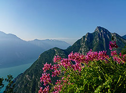 Alpiedi Ledro Alps Trek