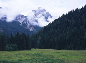 Il grande piano pascolivo di Casera Campo.