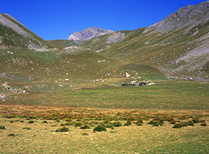 I pascoli alti della Valle di Ferrere.