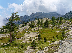 Scorcio di paesaggio sotto il Rifugio Barbustel.