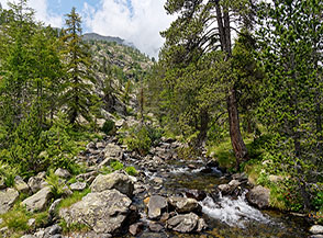 Il Torrente Chalany ci accompagna calando verso valle.