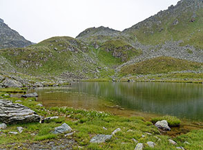 Sponde del Lac de la Leita.