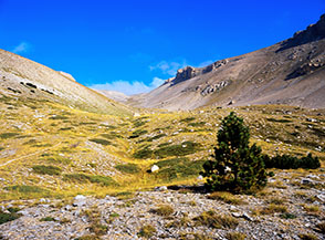 Sul fondo della meravigliosa Valle di Taranta, nel tratto sopra il Fontanino.
