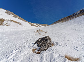 Con lo sguardo all&rsquo;ins&ugrave; nel Canale San Lorenzo.