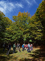 &ldquo;Una pausa colorata&ldquo; (piccola radura nel Bosco di Collelungo).