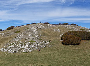 Vista sulla dolce Anticima Nord del Terminio, su alcune carte indicata come la cima del monte.