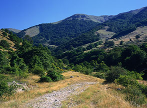 Il Vallone Capo d&rsquo;Acqua, Ingresso Q del Parco Nazionale d&rsquo;Abruzzo.