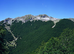 I verdi boschi del Vallone Carbonara salgono fin sulle propaggini del Monte Serrone, sulla sx si distingue la Valle Cervara.
