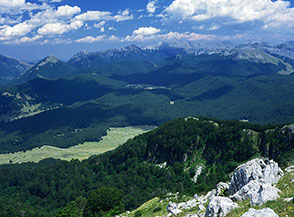 Lo stupendo panorama da Monte la Rocca verso i boschi di Serra di Campo Rotondo e la catena del Meta.