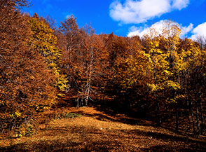 La piccola radura che si apre al valico del Passaggio dell&rsquo;Orso.