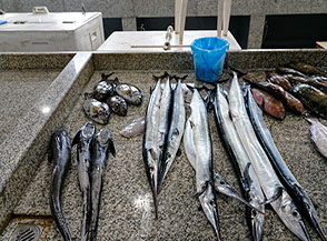Lamprede (sulla sx) ed altri pesci al nuovo mercato del pesce di Barka.