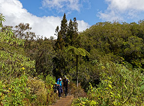 Lungo il Sentiero di Trou de Fer.