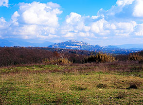 Vista su Sant&rsquo;Angelo Romano da una delle rare radure della Macchia di Gattaceca.
