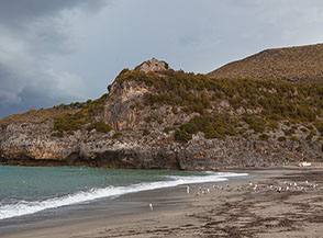 Gabbiani sulla battigia alla Spiaggia di Capo Grosso, alle spalle sul promontorio i ruderi della Torre d&rsquo;Arconte.