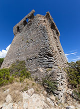 La Torre dell&rsquo;Isola o delle Viole, una delle poche in buono stato di conservazione.