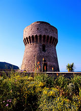 La Torre del Porto a Capraia.