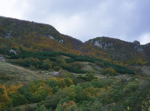 I boschi in veste autunnale di Collegiove, sotto Monte Cervia.