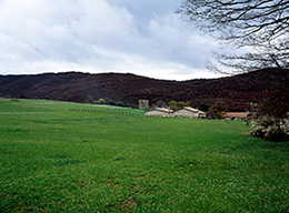 Cartore