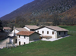 Cartore