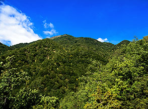 La Valle Bianca alle pendici di Monte Ritornello.