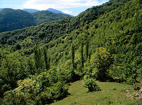 Vista dal Casale Arriconi, ai margini della Valle Bianca.