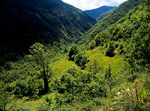 Piccoli fazzoletti di prato ancora non riconquistati dal bosco nella Valle dell&rsquo;Inferno.