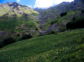 Fioritura di asfodelio sulla cima di Colle Piano, alle spalle la Cascata delle Scalette.