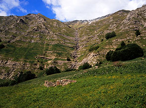 Fioritura di ranuncoli e asfodelio sulla cima di Colle Piano, alle spalle la Cascata delle Scalette.