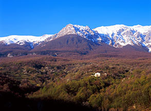 Come una coperta il bosco di faggi si rimbocca su Monte Coppe (al centro, da Colle Mesole).