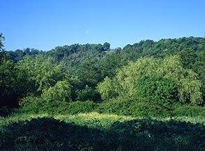 Scorcio del Fosso della Mola sotto Castel Giuliano.