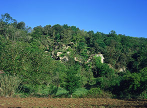 Scorcio del Fosso della Mola nel tratto dei coltivi.