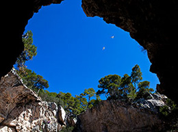 Castello dei Badiali + varie