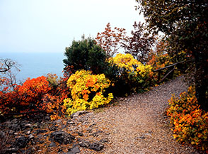 Un angolo del Sentiero Rilke nei pressi di Sistiana.