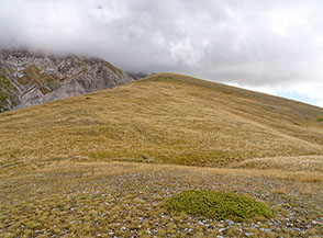 Prati dorati verso la cima di Monte Faeto.
