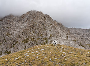Cima le Veticole con il Versante Sud del Monte Prena sullo sfondo.