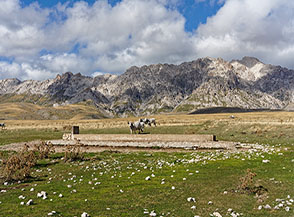 Fontanile di Valle San Lorenzo (Campo Imperatore).