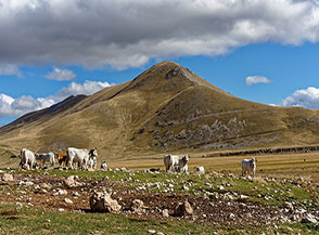 &ldquo;Meeting point&ldquo; (area di raccolta mucche a Campo Imperatore con Cima di Monte Bolza sullo sfondo).